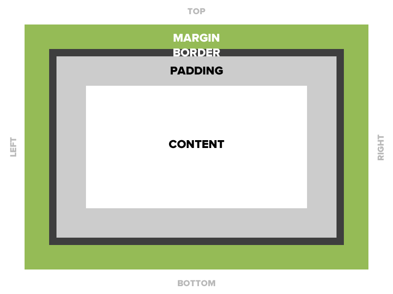 Graphic illustrating box model, margin highlighted